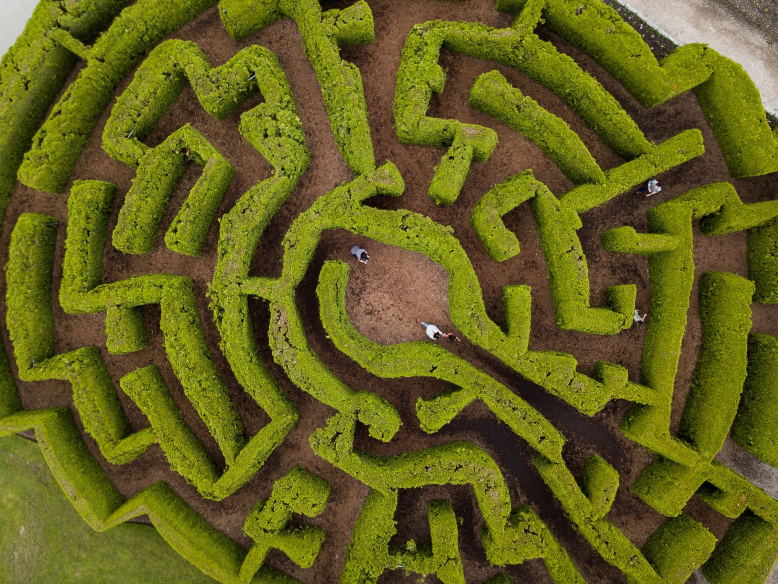 Life Feels Like a Maze. That’s Because It Is.